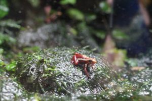 IMG_1916