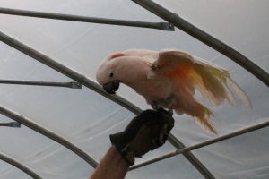 IMG_2099