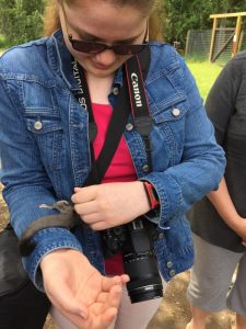 IMG_3426 [653145]